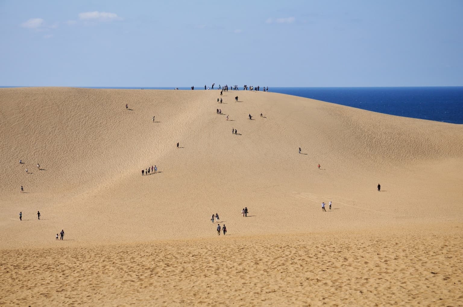 เที่ยวญี่ปุ่น คนน้อย unseen เนินทรายทตโตริ (Tottori Sand Dunes : 鳥取砂丘)