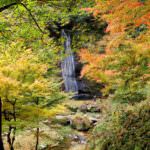 13b5e3bd3c2d6ad7881d0de25925cdb0