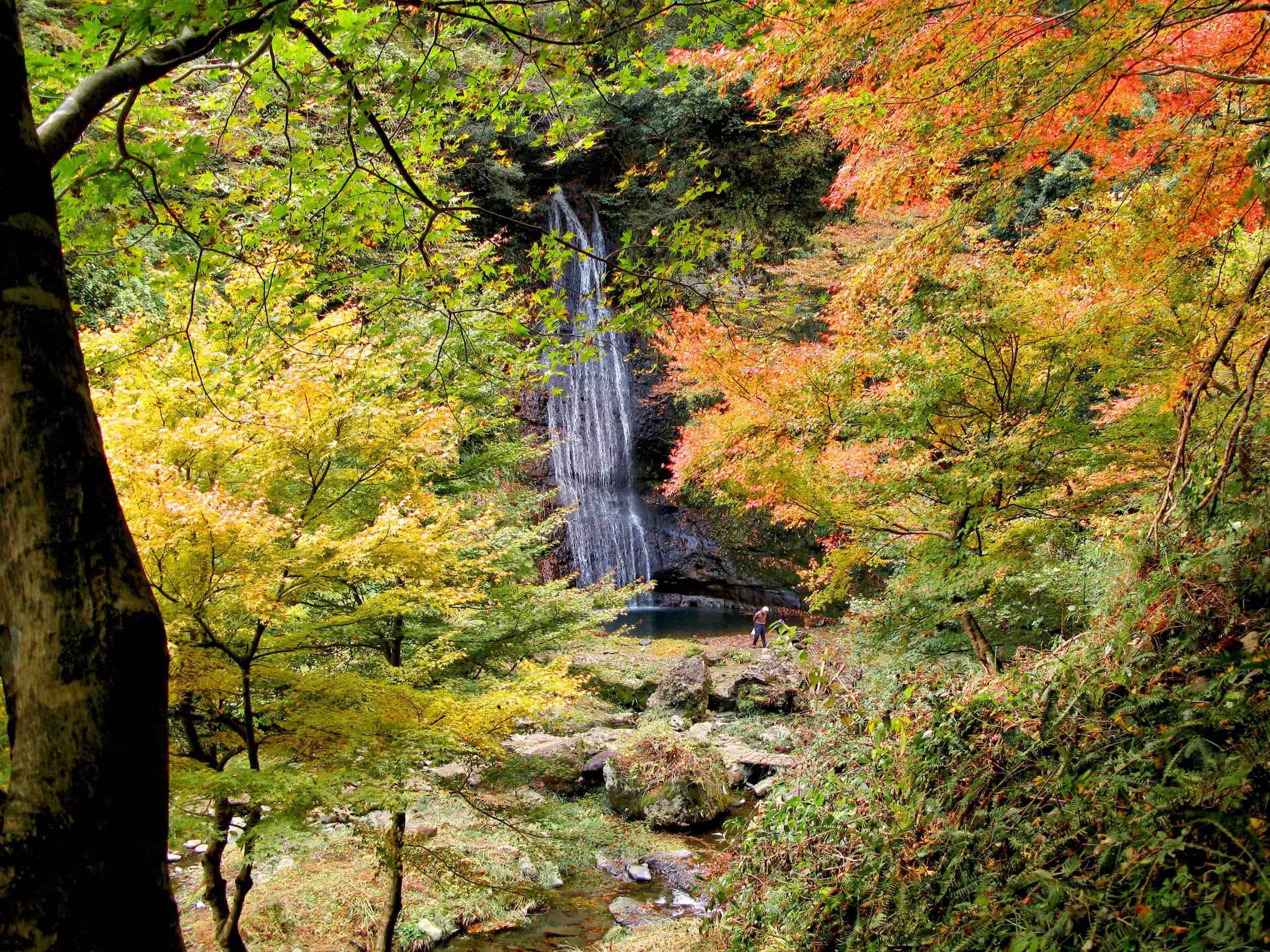 ชม ใบไม้เปลี่ยนสี คิโนะซากิออนเซ็น (Kinosaki onsen) - หุบเขาอาเสะ (Ase Valley)