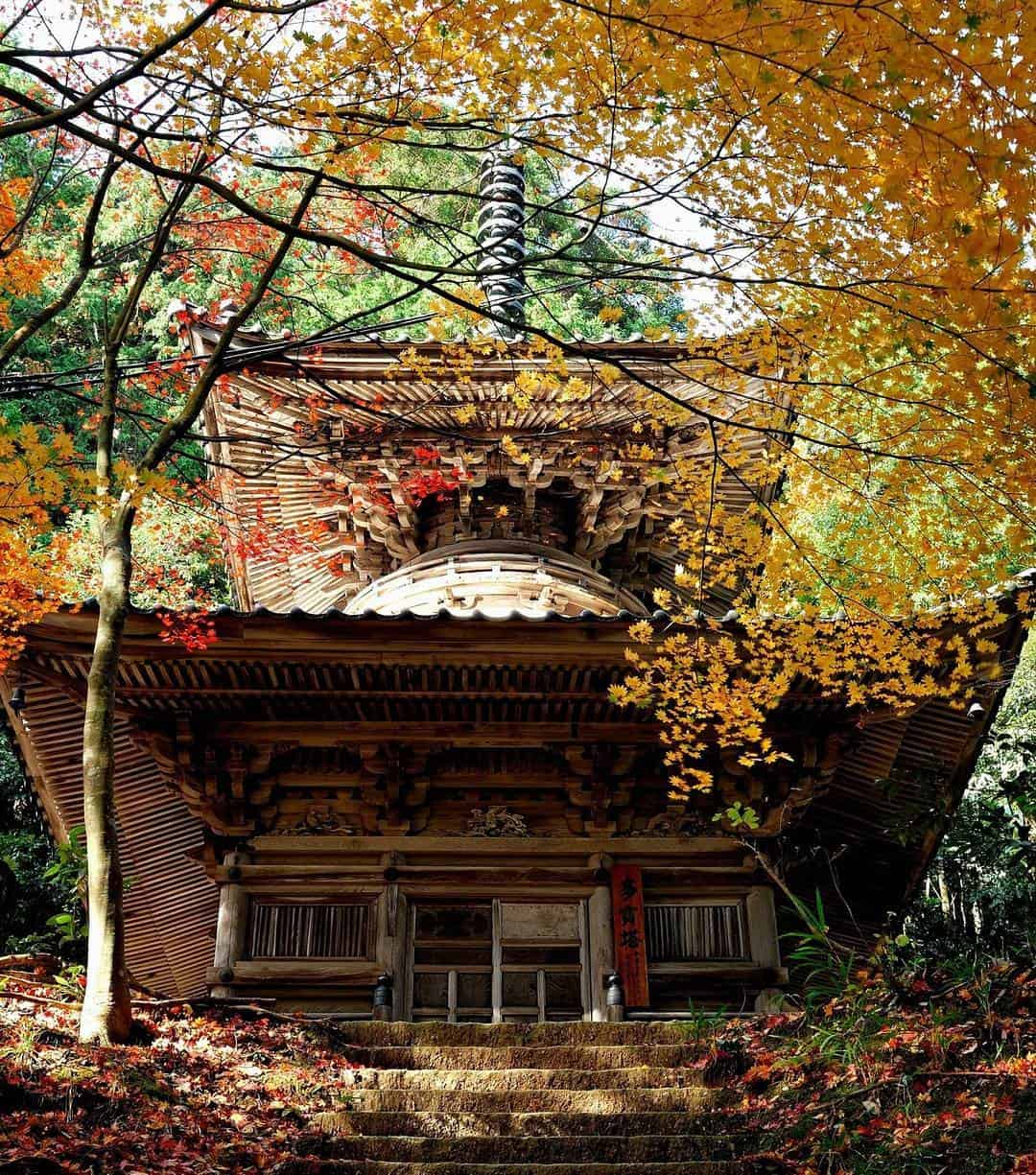 ใบไม้เปลี่ยนสี คิโนะซากิออนเซ็น (Kinosaki onsen) สวนฮิงาชิยามะ (Higashiyama Park)