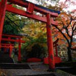 70961046_1698041230327607_3074521591170727936_o