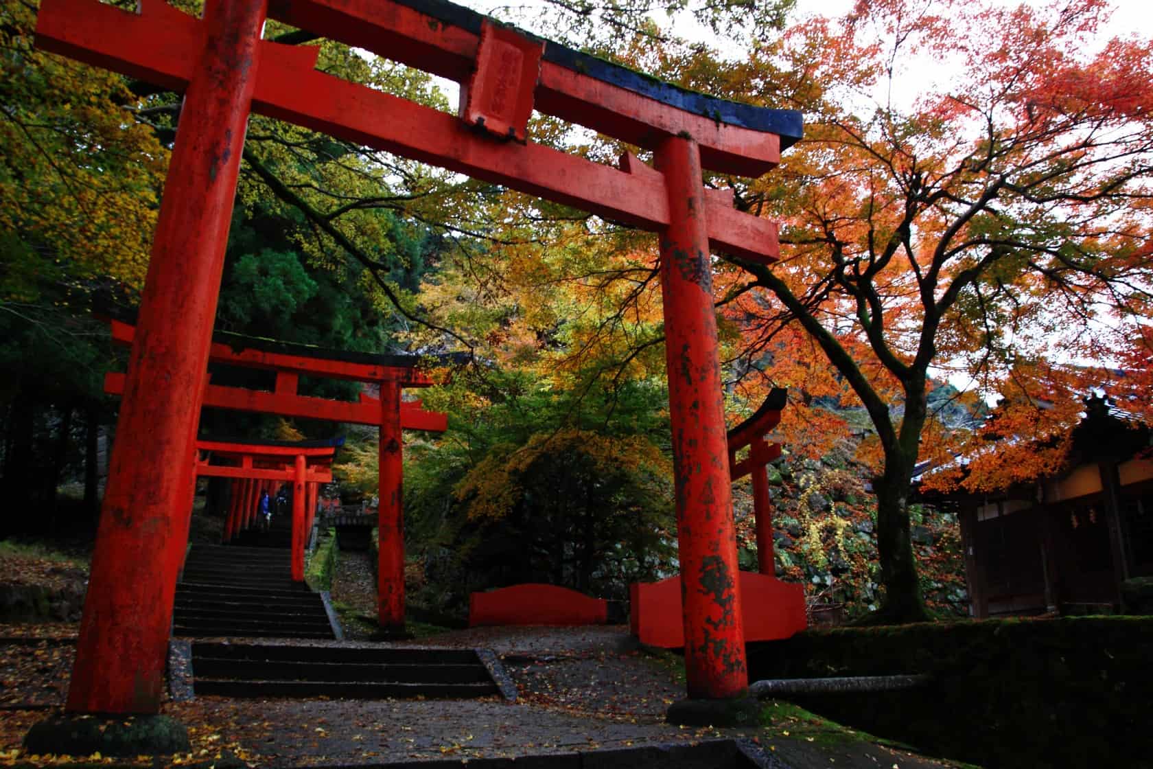 อิซึชิ (Izushi)