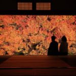 71032155_1698041216994275_3172833813482962944_o