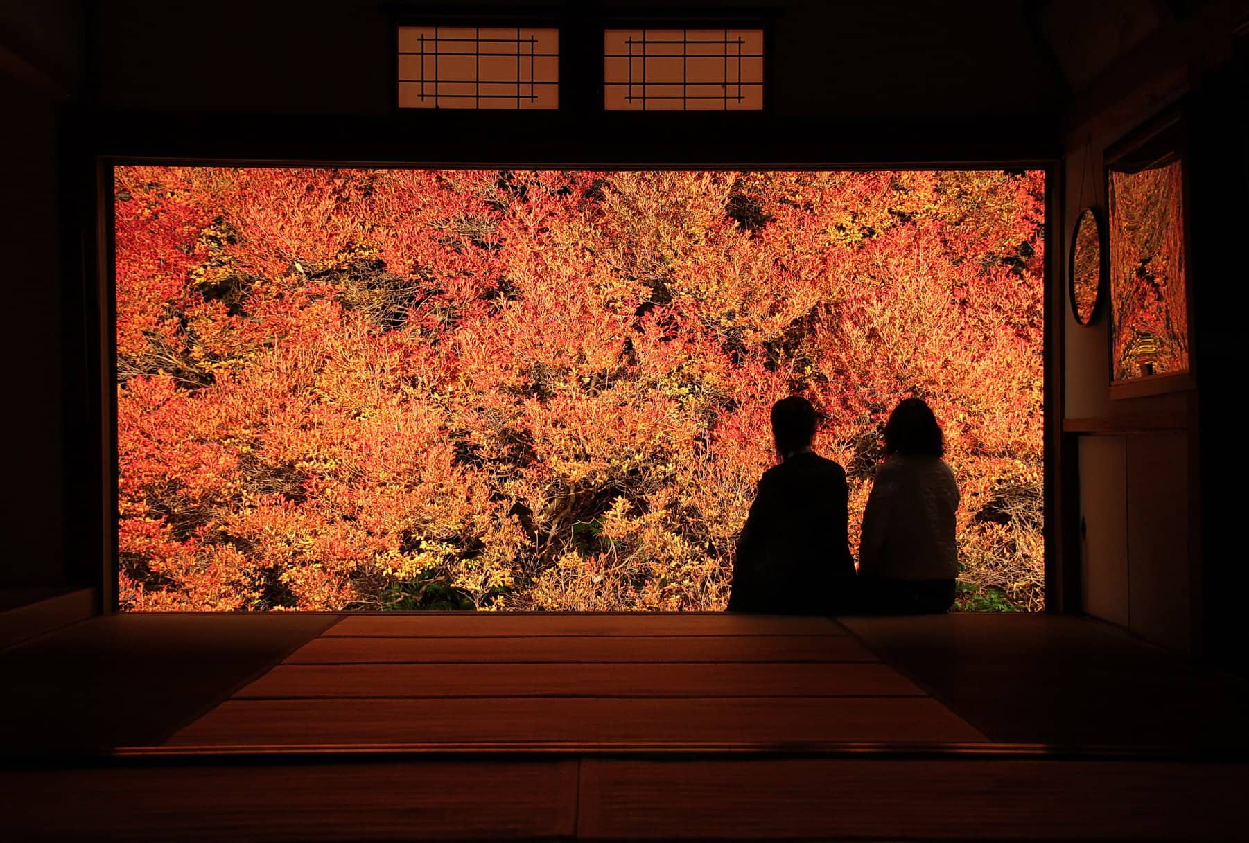 จุดชม ใบไม้เปลี่ยนสี คิโนะซากิออนเซ็น ทันโต (Tanto)