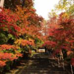 733a3b21b8f4c92f985e5d8dab87f22b