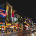 C0080.MP4.00_34_33_04.Still001