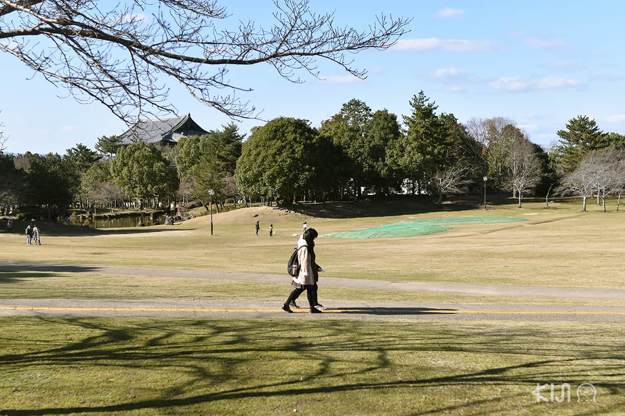 เที่ยวนารา : Nara Park