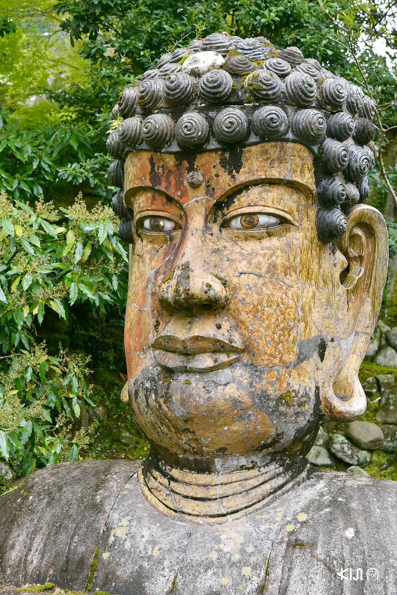 วัดฟุคุเซนจิ (Fukusenji Temple)