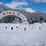 blog-2019-1-23-kamakura1-1024×768