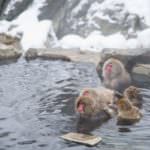 c10e5b075456ae1a18fca04bf2afb48d