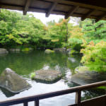 kokoen garden- himeji city-japan