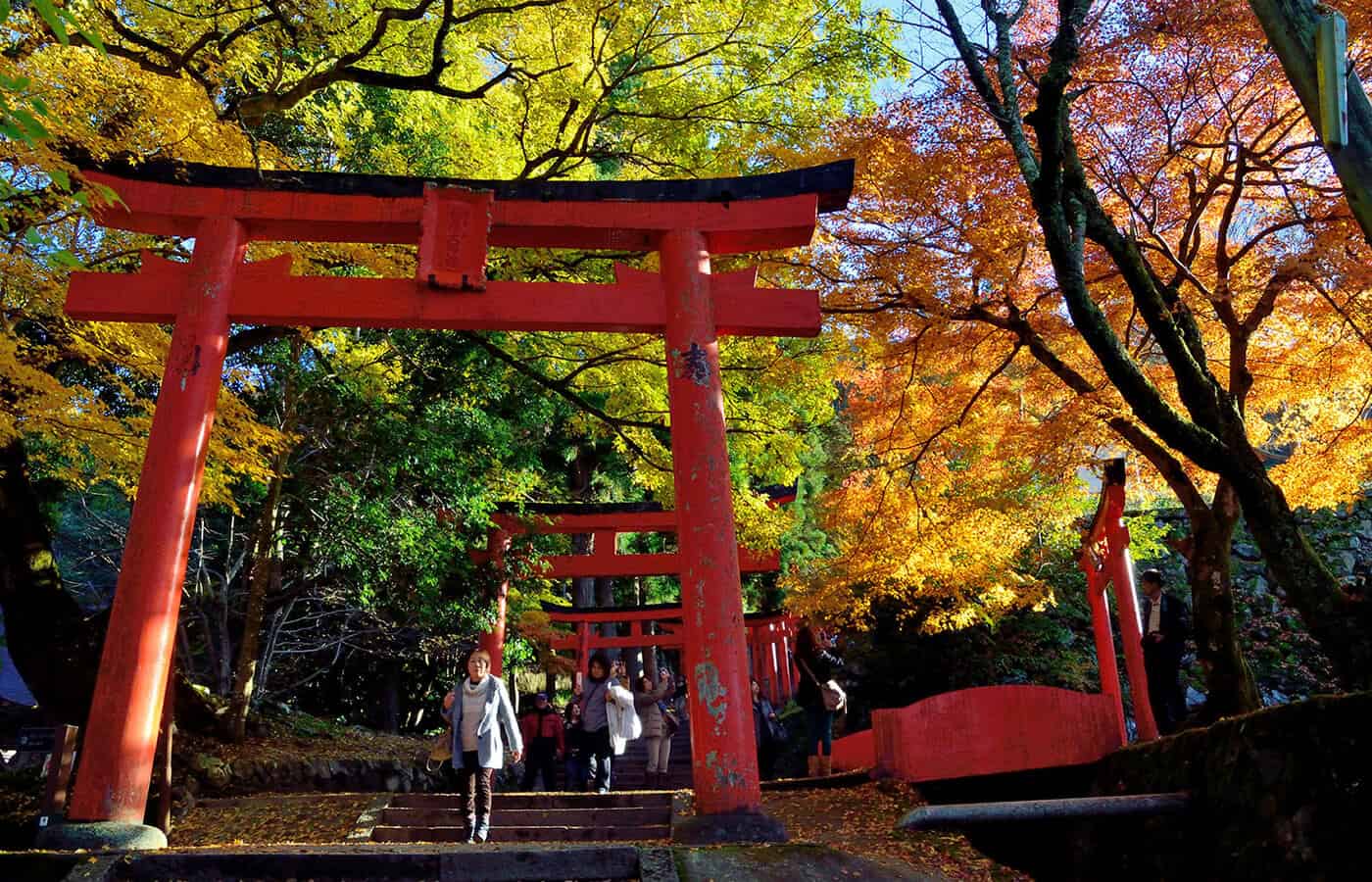 ใบไม้เปลี่ยนสี คิโนะซากิออนเซ็น - อิซึชิ (Izushi)