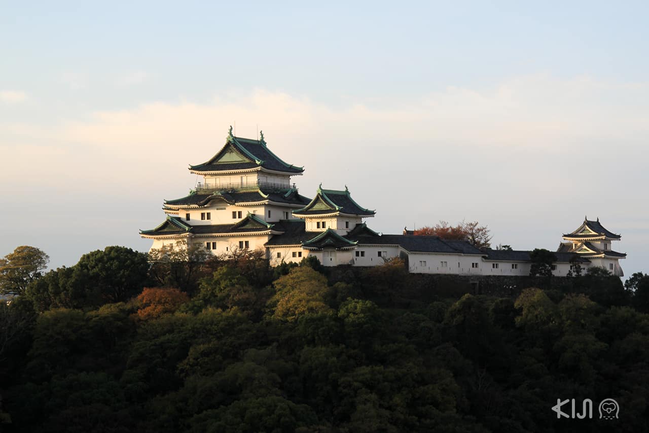Wakayama Castle เที่ยว เมืองรอง ญี่ปุ่น