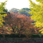 wakayama city-spring-kansai region-japan