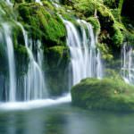 0eea3f28aa21cec40cac56c1fd11be36_m