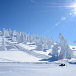 17039278-1317672431659863-3612960221527120165-o_1_orig