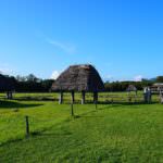 1920px-Oyu_stone_circles_20180916d