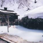 20181206194842_f120778385e7889a020ad795c30a4e15_2