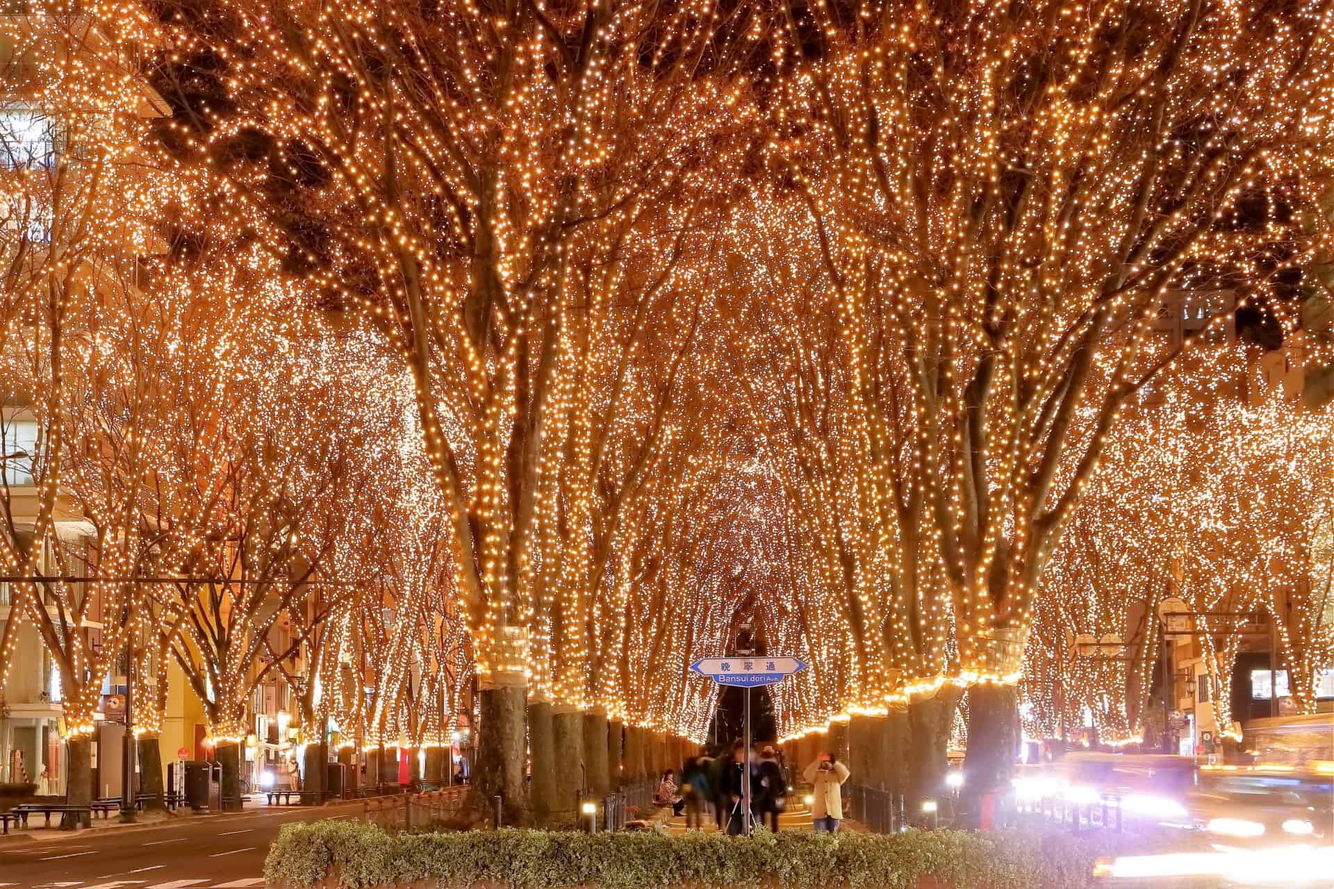 ชมไฟประดับ ใน ฤดูหนาว ที่ภูมิภาค โทโฮคุ SENDAI Pageant of Starlight