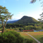 2e1cab44ce484b377d4a0b2675da2274