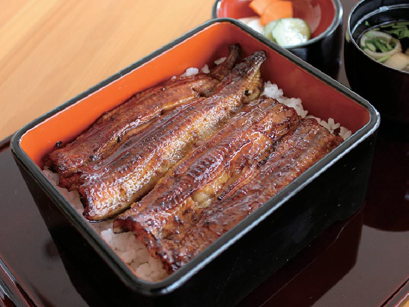 ปลา เมืองโจชิ