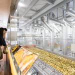 CHANGE KIRISHIMA FACTORY