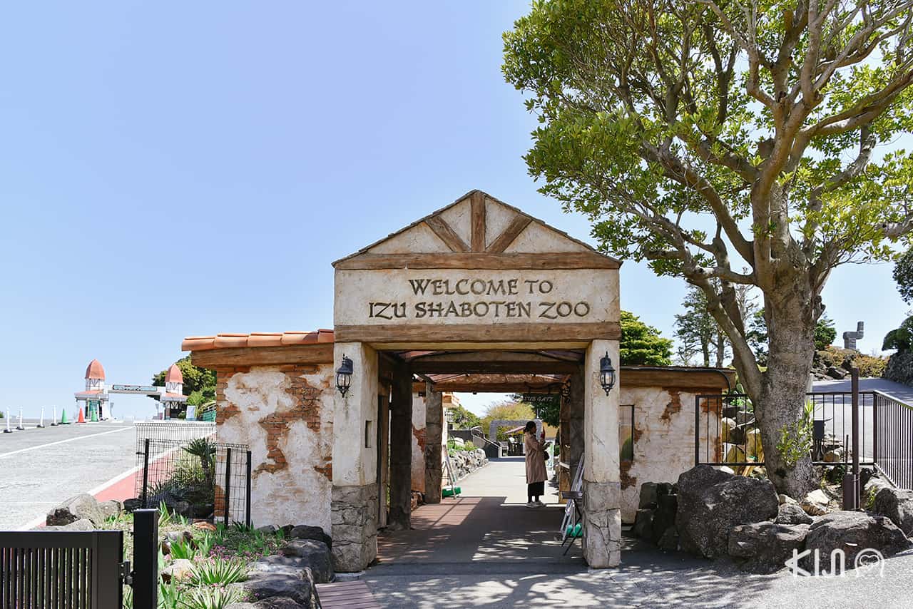 Izu Shaboten Zoo สวนสัตว์ในจังหวัดชิซูโอกะ