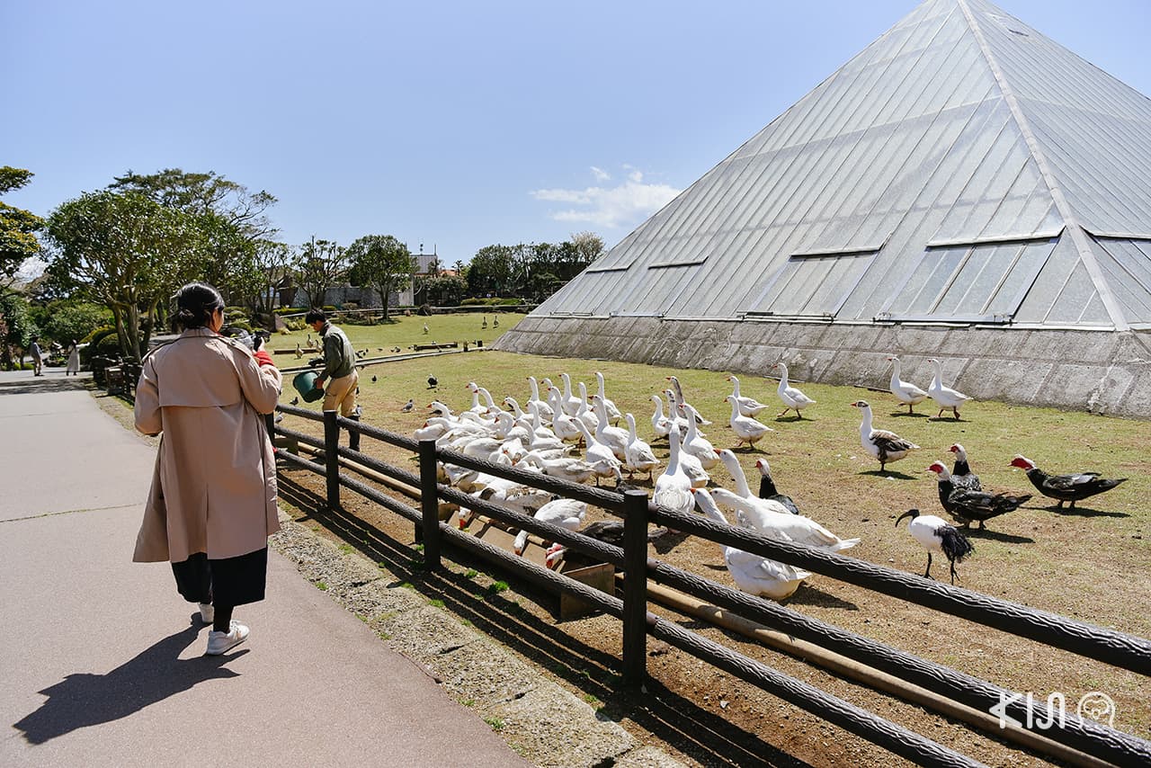 Izu Shaboten Zoo อยู่ในจังหวัดชิซูโอกะ