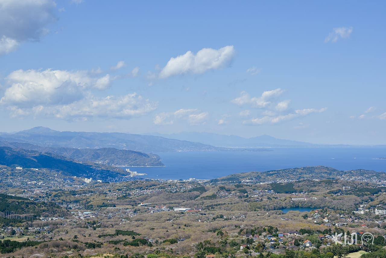 ชมเมืองชิซูโอกะ จากบน ภูเขาโอมูโระ (Mt.Omuroyama) 