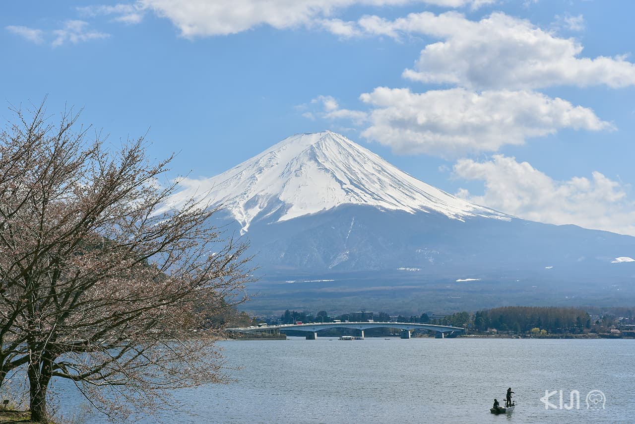Fuji Hakone Pass เที่ยภูเขาไฟฟูจิ