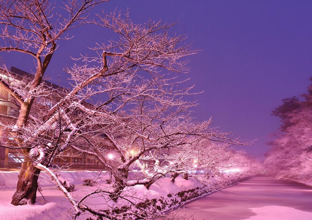 ฤดูหนาว ที่ โทโฮคุ