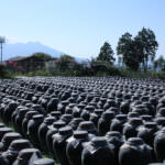 kagoshima aging vinegar_1234095013