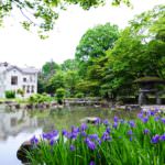 kyuuikedasiteien_earlysummer