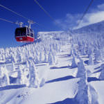 mguz63wckvjtu47pdvy6