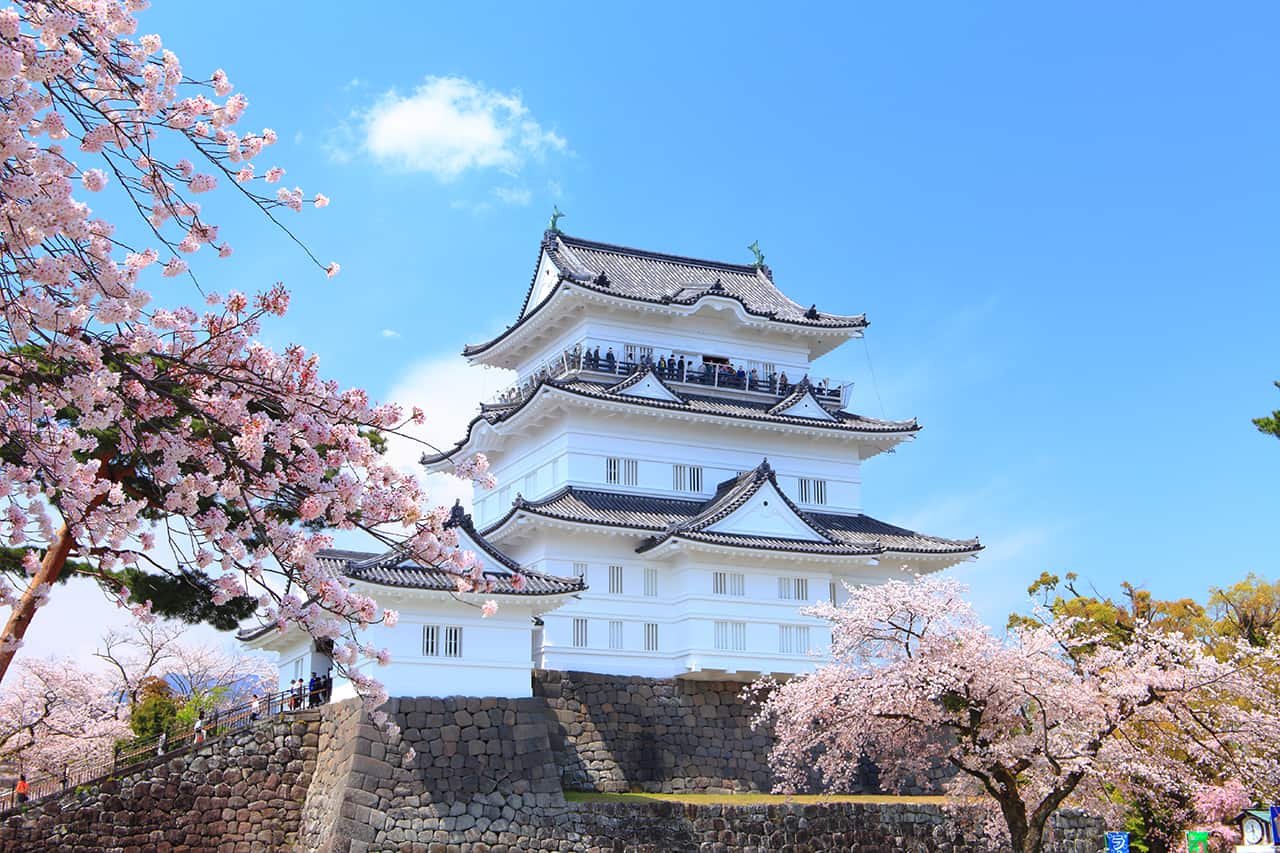 Fuji Hakone Pass - Odawara Castle