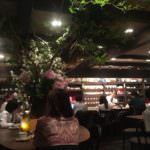 satei hato coffee shop-interior2-shibuya-tokyo-japan