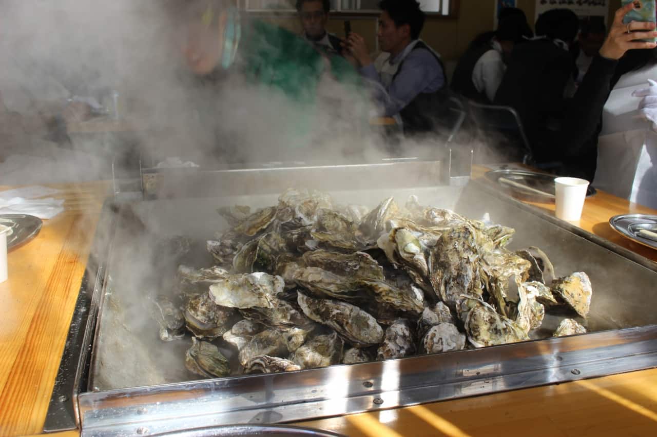 กินหอยนางรม ช่วง ฤดูหนาว ที่ภูมิภาค โทโฮคุ