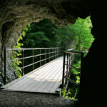 71813cbf07c20f74c2a3beab0a17e097_m