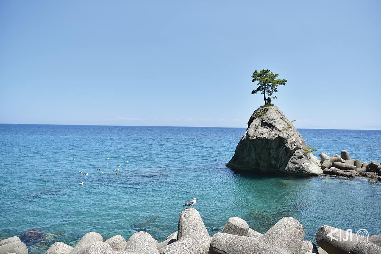 ท่าเรือเรียวซึ ฝั่ง Maehana Coast จังหวัดนีงาตะ