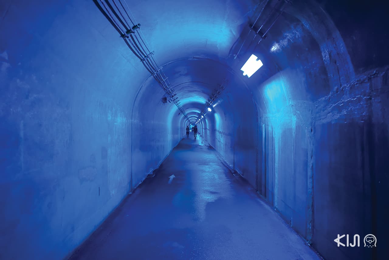 Expression of Color, Echigo-Tsumari Art Field