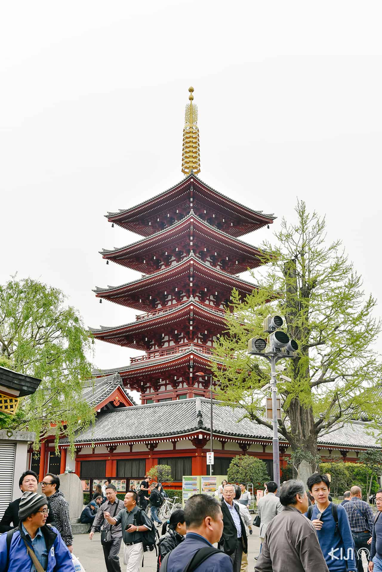 เที่ยว อาซากุสะ - วัดอาซากุสะ