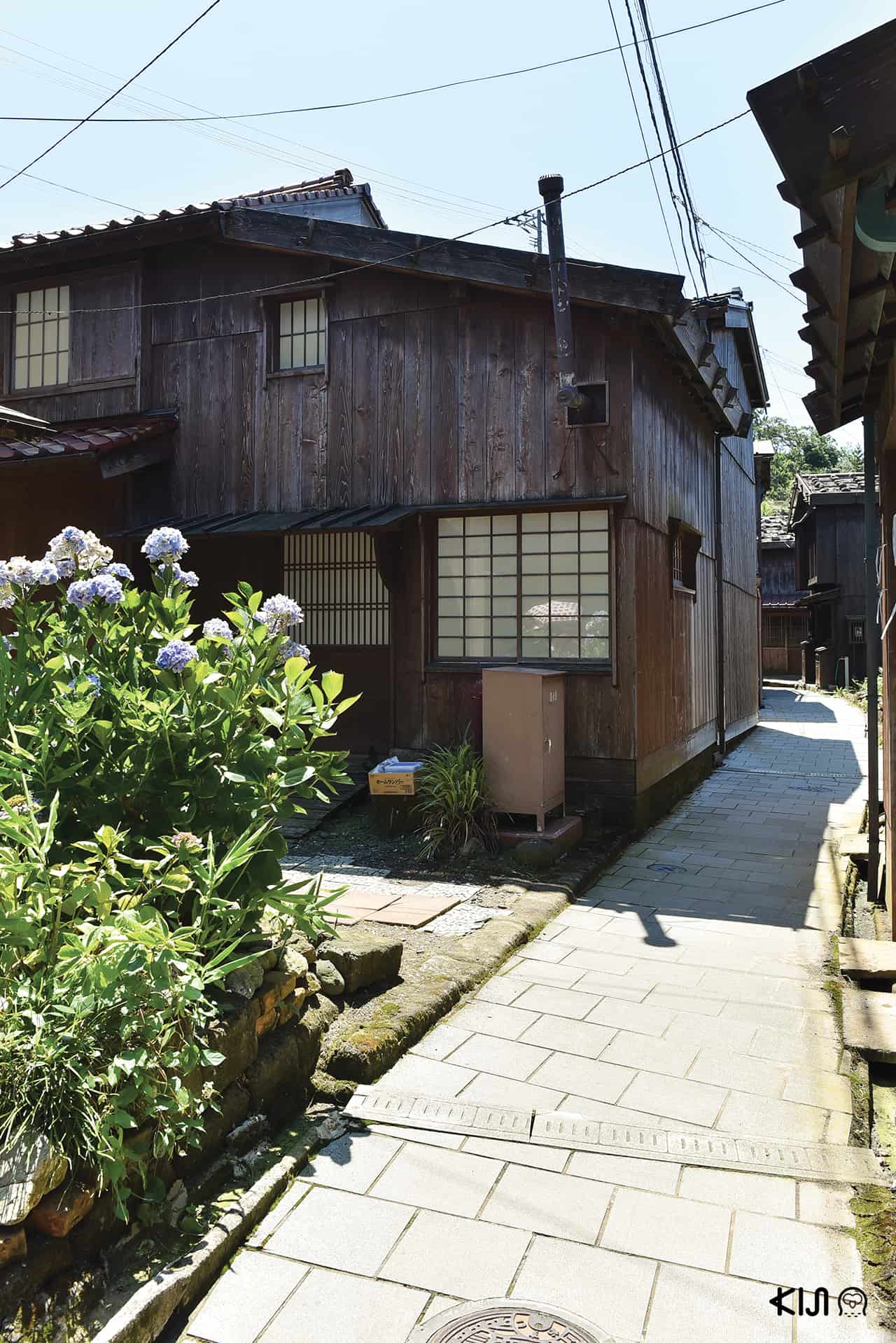 ที่เที่ยว Niigata - Shukunegi Village