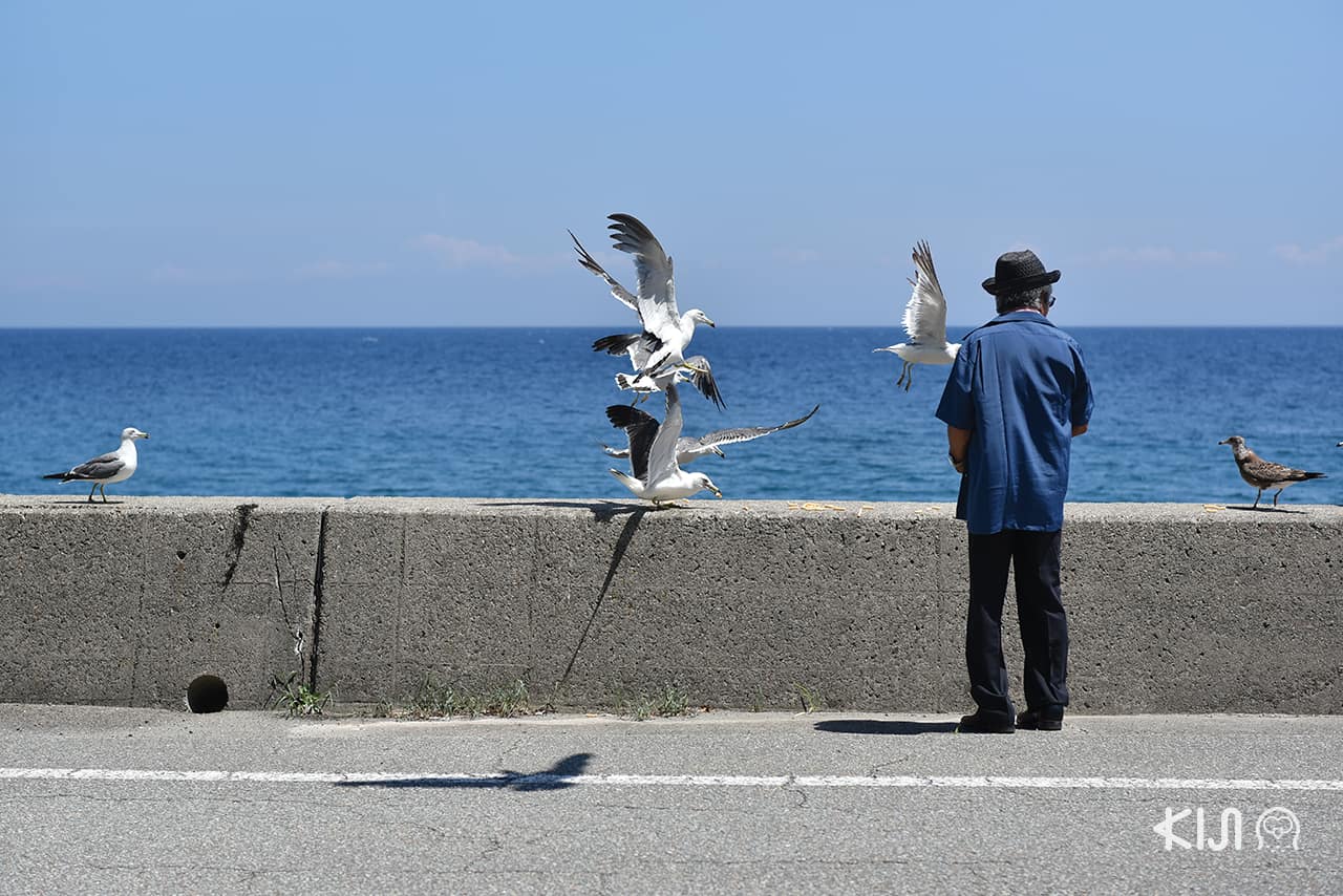 ท่าเรือเรียวซึ (Ryotsu) นีงาตะ