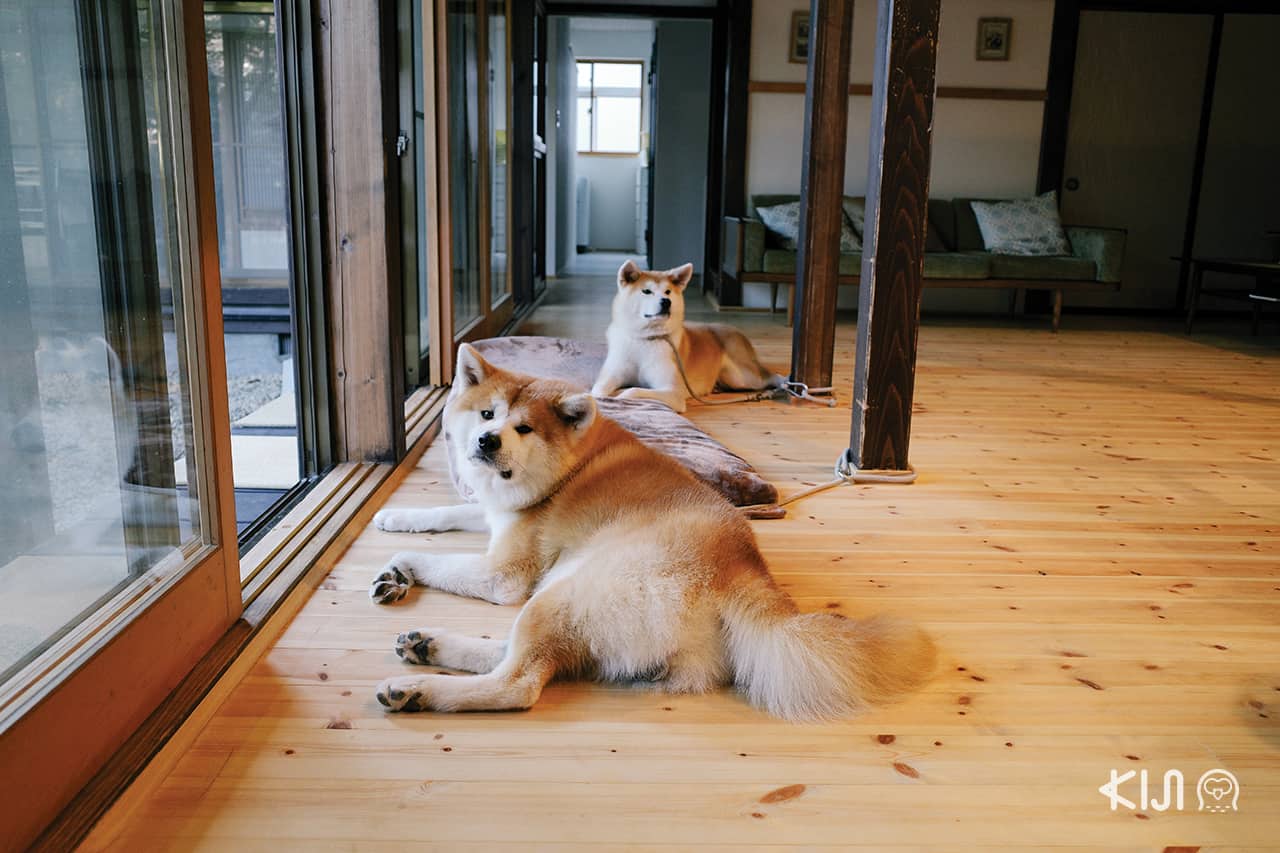 เอนิชิ (Enishi)