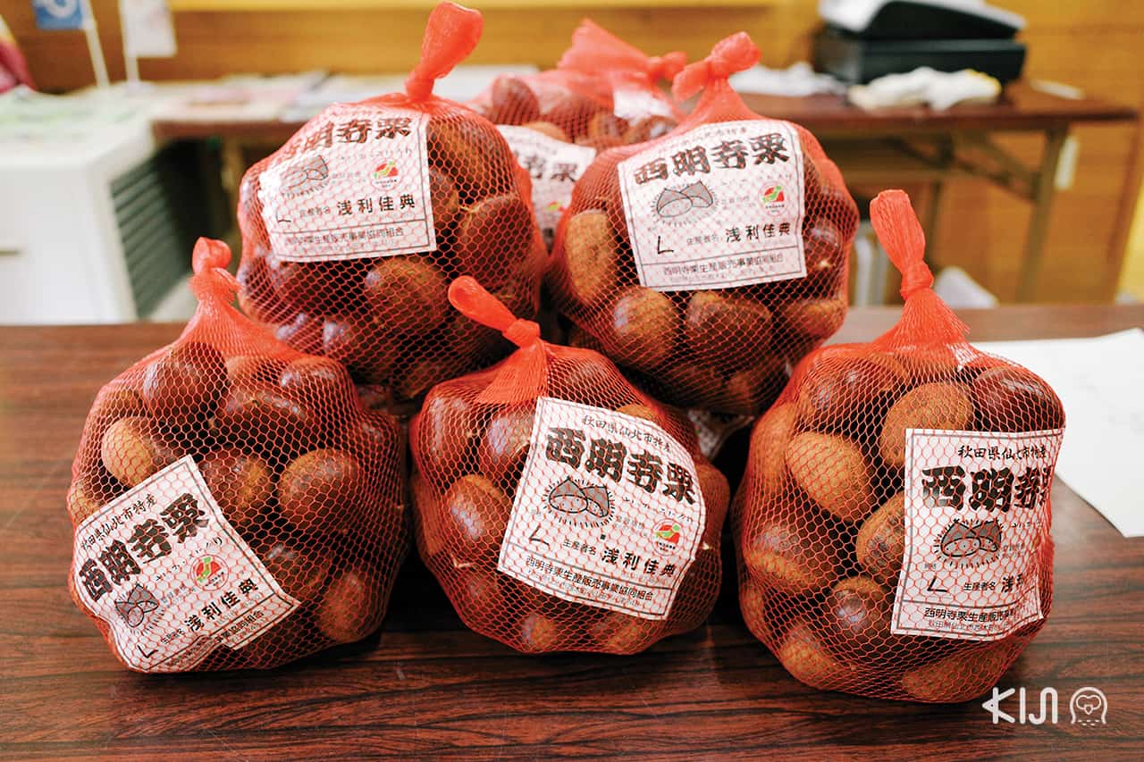 เกาลัดพันธุ์ Saimyoji มีขายที่ Katakuri Center