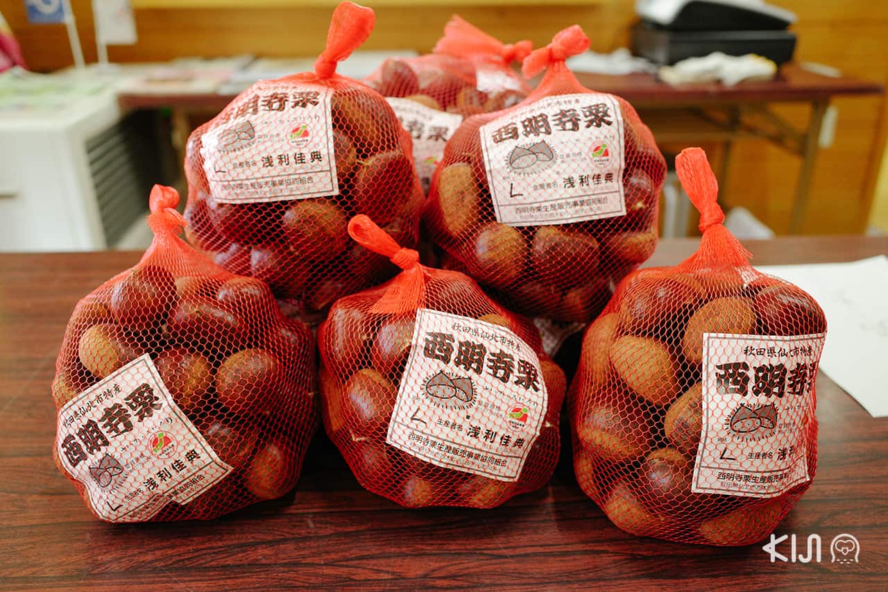 เกาลัดพันธุ์ไซเมียวจิ (Saimyoji)