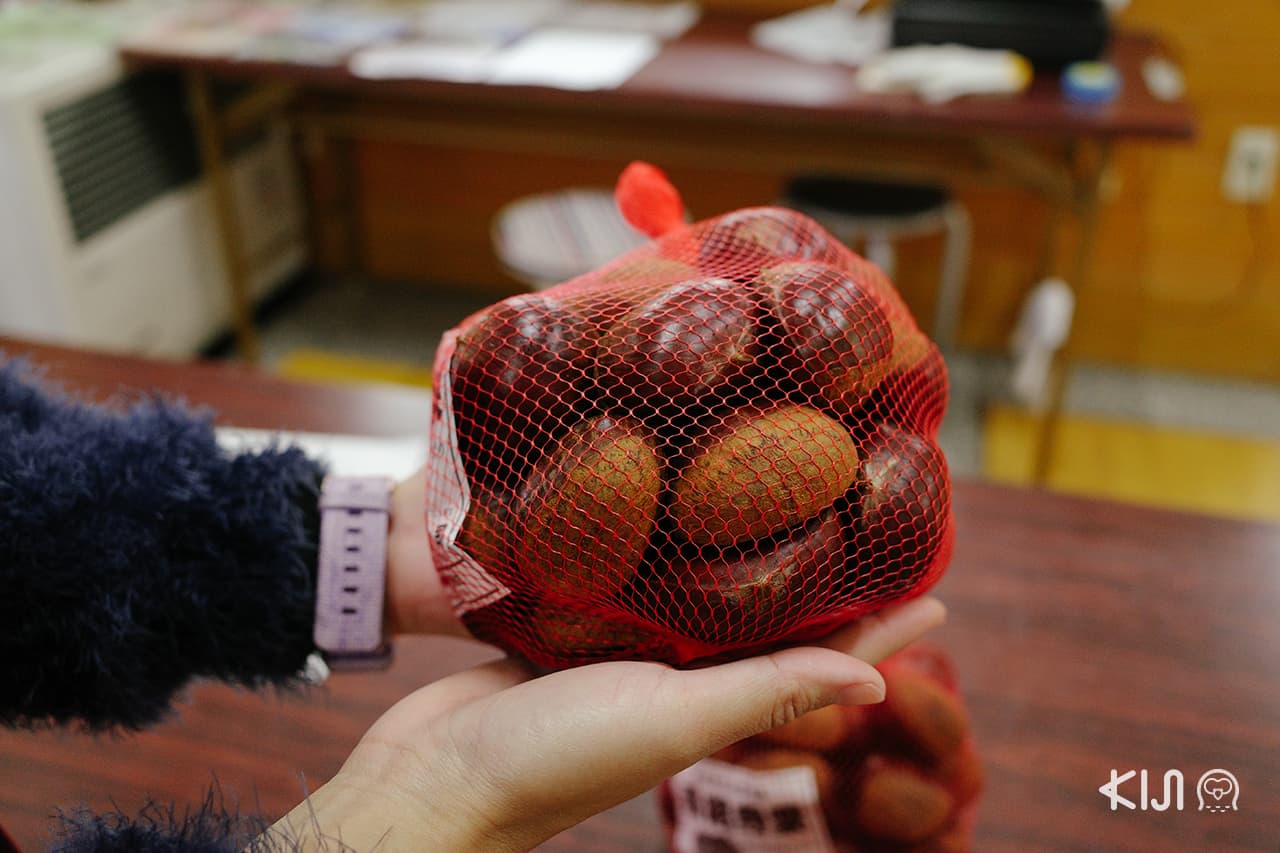 เกาลัดพันธุ์ไซเมียวจิ (Saimyoji) อาคิตะ