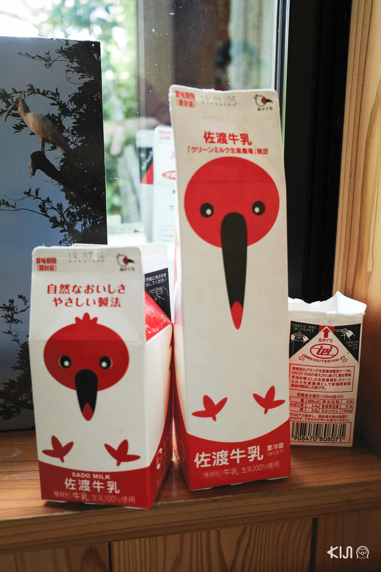 Toki Forest Park นีงาตะ