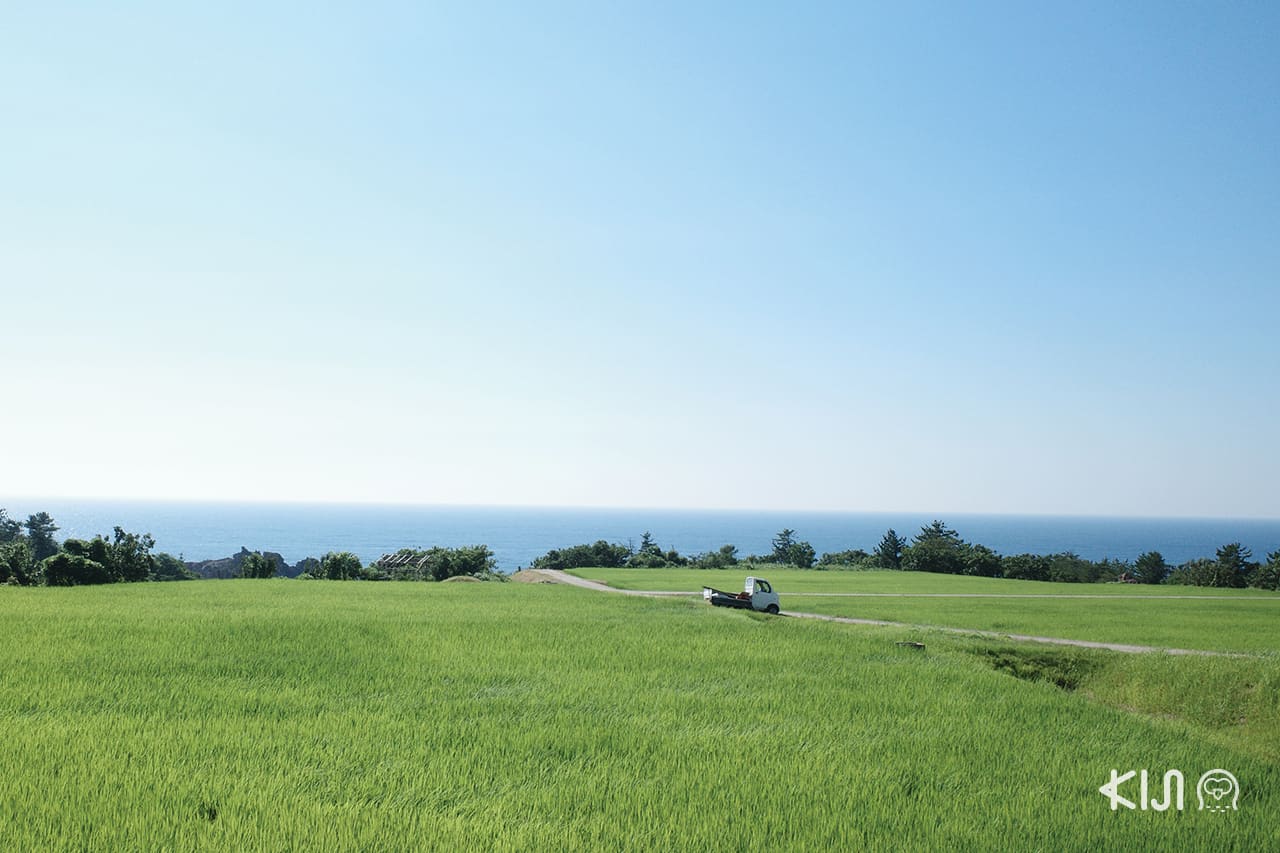 เที่ยว นีงาตะ (Niigata)