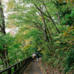 หุบเขาดาคิกาเอริ จังหวัดอาคิตะ